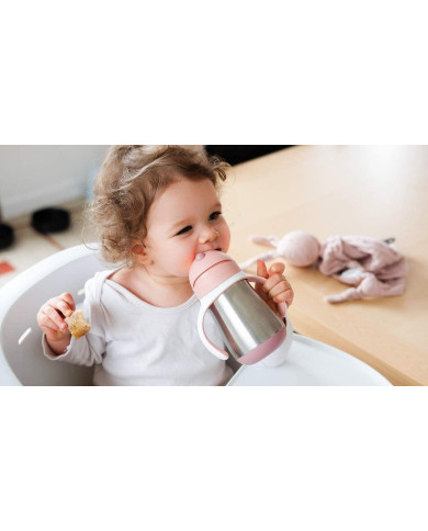 BEABA METALINĖ GERTUVĖ SU ŠIAUDELIU, 250 ML, OLD PINK