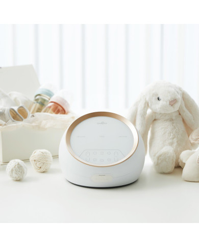 SPECTRA DUAL S PIENTRAUKIS