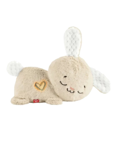 FISHER PRICE MIGDUKAS ZUIKUTIS, HXG97