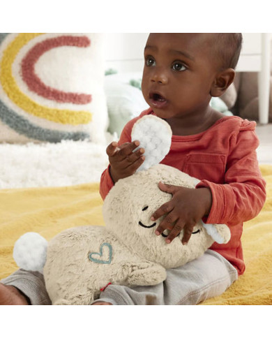 FISHER PRICE MIGDUKAS ZUIKUTIS, HXG97