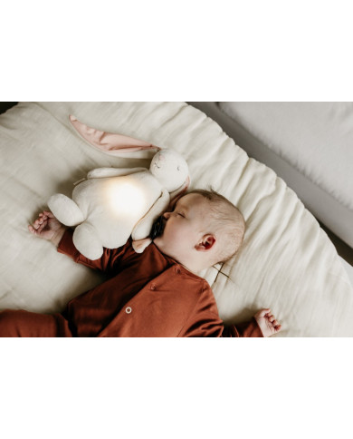 MOONIE 2.0 ORGANIC MIGDUKAS ZUIKUTIS POWDER