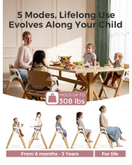 MOMCOZY DINERPAL UNIVERSALI MAITINIMO KĖDUTĖ AUGANČIAM VAIKUI IR MOKYMOSI BOKŠTELIS VIENAME