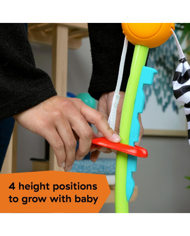 Baby Einstein Ocean Explorers Curiosity Cove 2-in-1 Šokliukas | Kinderland