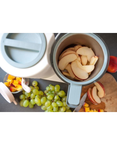 BEABA BABYCOOK TRINTUVAS-GARINTUVAS NEO, GREY/WHITE